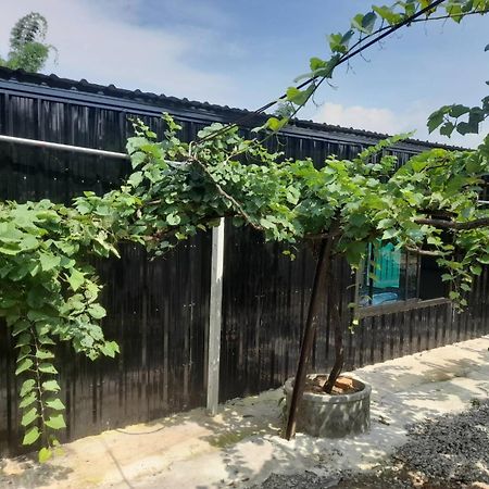 บ้านสวนปวิชญา เกษตรอินทรี Fang Kültér fotó